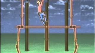Equal Potential Grounding