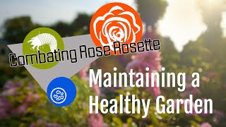 Combating Rose Rosette: Maintaining a Healthy Garden