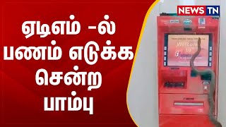 ஏடிஎம் மையத்தில் 5 அடி நீளமுள்ள பாம்பு இயந்திரத்திற்குள் நுழையும் வைரல் வீடியோ| Snake | ATM | Newstn