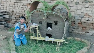 Dog rescue and build Loving Dog House 😱 || Build House 🏠 for puppies 😳 ||