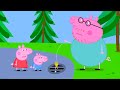 Daddy Pig pierde sus llaves | Peppa Pig en Español Episodios Completos