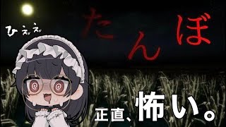 👻【たんぼ】愛犬と一緒に「夜の田んぼ」道を散歩するホラーゲーム【 #言訳まみれ / #vtuber  】