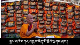 Kangyur Lung 🌻🌼 H.E Sangay Nyenpa Rinpoche || Himalayan Buddhist Monks ||