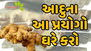 આદુના આ પ્રયોગો ઘરે કરો | Do These Ginger's Experiments at Home |