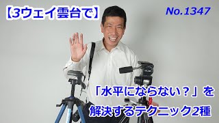 【3ウェイ雲台】水平が出ない！どうする？（動画No.1347）