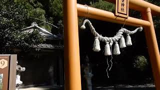 小谷神社　2024年10月中旬　滋賀県長浜市湖北町