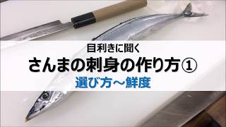 さんまの刺身の作り方①選び方～鮮度/東京築地目利き協会