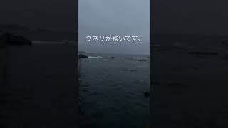 2021年12月17日ダイビングショップNANAが今日の葉山の海況をお伝えします