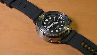 Introducing The Watch Survivor \u0026 Divecore HP Straps