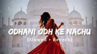 Odhani Odh Ke Nachu (Slowed + Reverb) Tere Naam | Udit Narayan, Alka Yagnik Lofi Song #bollywoodlofi