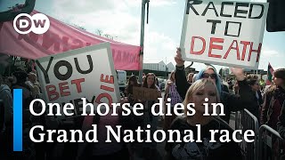Animal rights protesters disrupt England's biggest horse race | DW News