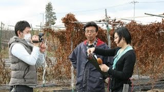 自然薯（じねんじょ）　美白とろろ　メディア出演2013