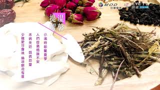 【EYE TV二十四節氣系列】節氣養生茶飲-小滿 脾胃袪濕養身飲