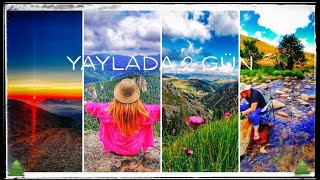 Çambaşı yaylası /Karadeniz yaylaları/Susuz obası /Ordu yaylaları/Yaylada obaları gezdik/ablak taşı