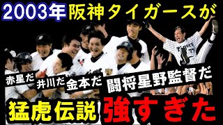 【2003年の阪神タイガースの強さがヤバい】星野監督が築いた最強猛虎打線を振り返るわ！