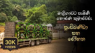 මාළිගාවට පැමිණි හොරණ කුමාරවරු |  The kandy asala perahara 2024 | #hasthi_official #viralvideo