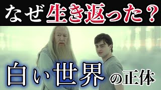 【ハリーが生き返った理由はなぜ？】白い世界の正体や蘇りの石との関係を解説【死の秘宝】