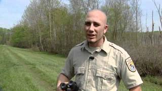 Bald Eagles Make Tri-State Comeback
