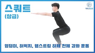 [척추나한의원 헬스] 스쿼트 (상급)