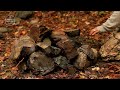 camping in rain with tent