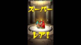 モンスト　オールスターガチャ引いてみたら限定キャラでた～！