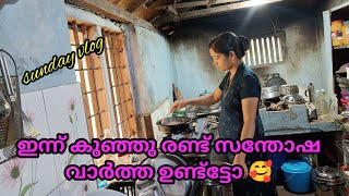 എല്ലാം പപ്പയുടെ അനുഗ്രഹം /Sunday vlog /Kakkayirachi roast