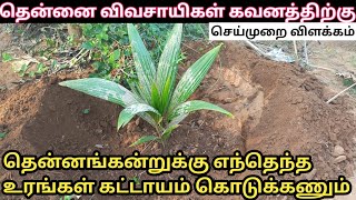 தென்னங்கன்றுக்கு எந்தெந்த உரம் எப்படி கொடுக்க வேண்டும் #agriculture #fertilizer #garden #coconuttree