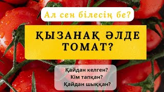 АЛ СЕН БІЛЕСІҢ БЕ? // ҚЫЗАНАҚ ӘЛДЕ ТОМАТ? // ПОМИДОР?