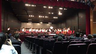 春蕾2019 String Orchestra-Pirates of the Caribbean:At World's End