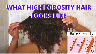 What High Porosity Hair Looks Like