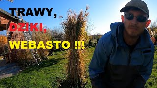 U Waldka na Ranczo - Trawy, Dziki i Webasto