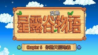 [事後剪輯] 菜鳥星露谷物語 Ch5 你跪天經地義