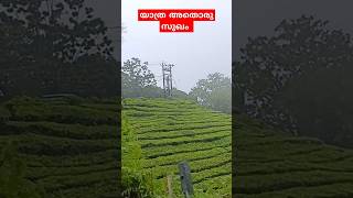 യാത്ര അതൊരു സുഖം #munnar #trending #travel