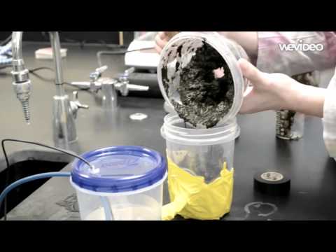 Creating a Microbial Fuel Cell Creating a Microbial Fuel Cell