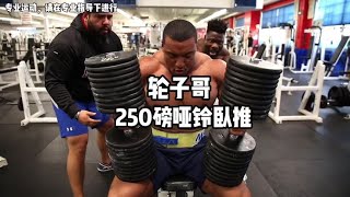 轮子哥250磅哑铃卧推#健身 #撸铁 #健美 #肌肉 #精神氮泵 #猛男