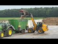 daily work processes on the dairy farm pretty girls milk cows 🐄 trimming hooves manure stream