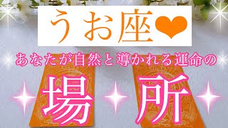 💍うお座さん✨あなたが自然と導かれる運命の場所💍【大丈夫💖あなたにぴったりのタイミングで運命の場所に導かれます🥰】🌸💖【見たときがタイミング🥰】💖無料タロット💖カードリーディング💌