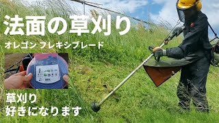 ナイロンコードの法面草刈りが楽しくてチップソーに戻れない