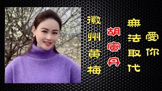 爱你无法取代（徽州黄梅）歌手：胡蜜丹