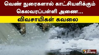 வெண் நுரைகளால் காட்சியளிக்கும் கெலவரப்பள்ளி அணை... விவசாயிகள் கவலை | PTT