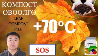 Навчаар хийсэн компостны овоолгоо хэрхэн холих вэ?Turning the leaf compost pile.