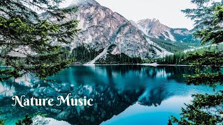 Relaxing Music with Nature Sounds, Forest Music, Sleep Music, Meditation Music | | Catsmusic