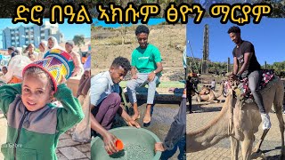 🛑 ድሮ በዓል ኣክሱም ፅዮን ማርያም ካብ ከተማ ኣክሱም - ተጓንፎ ግመል......