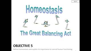 Chapter 1 - Obj 5 - Homeostasis