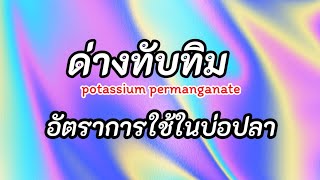 ด่างทับทิม