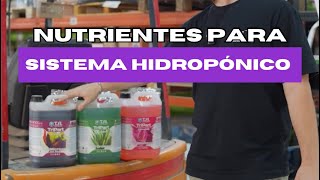 Los mejores nutrientes para tu sistema hidropónico 🌱🍁