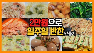 두명이서 주 4일에 2만원! 도시락으로 식비 절약하는 직장인 부부의 식단 모음! #고물가시대 #식비절약 #반찬