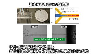 油水界面を活用した天然高分子ハイドロゲル材料の精密加工