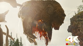 Prey (2022) - Bear vs Predator battle scene