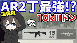 【荒野行動】10killドン勝！現環境はAR2丁が最強！？【無名】